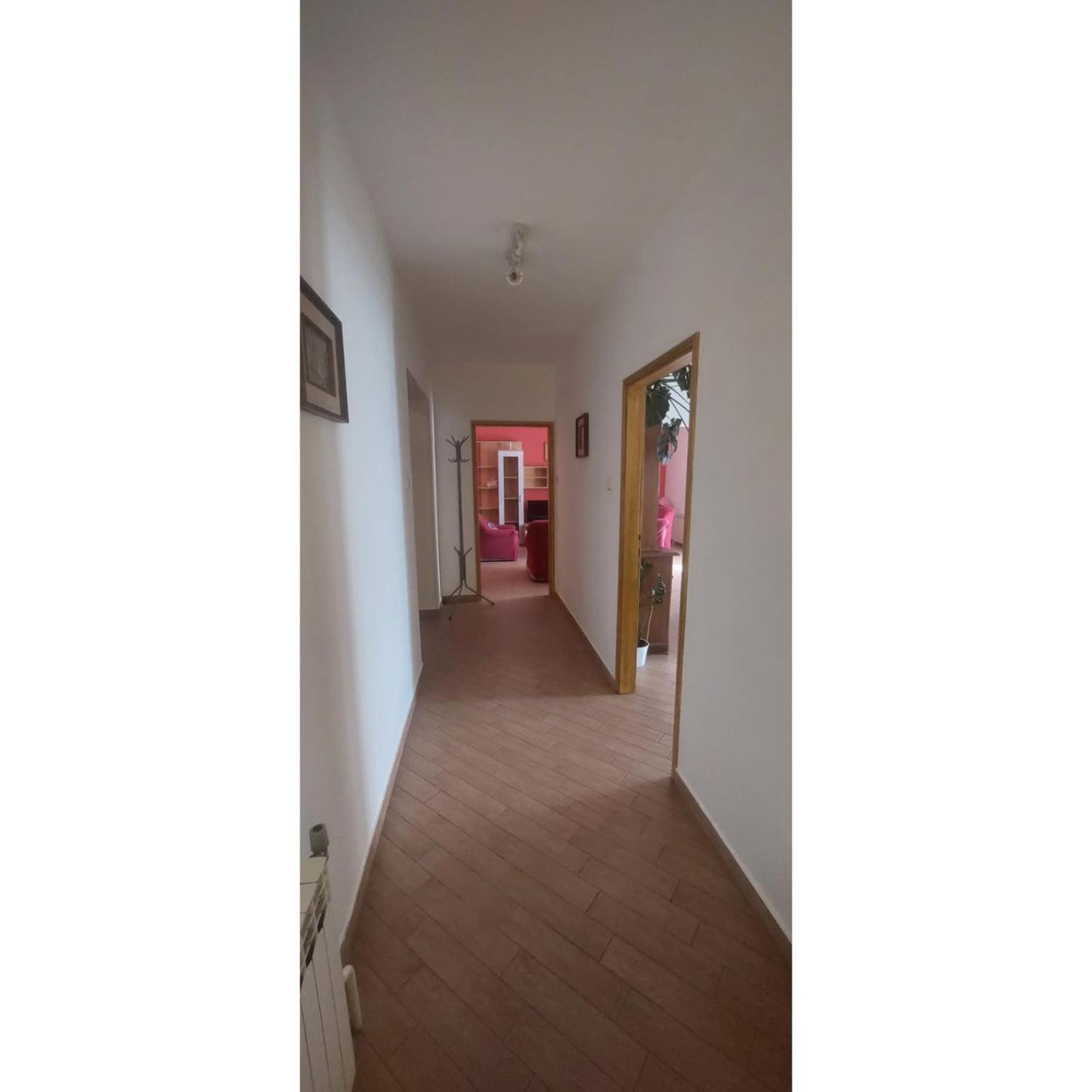 Apartman Dino Roč Eksteriør bilde